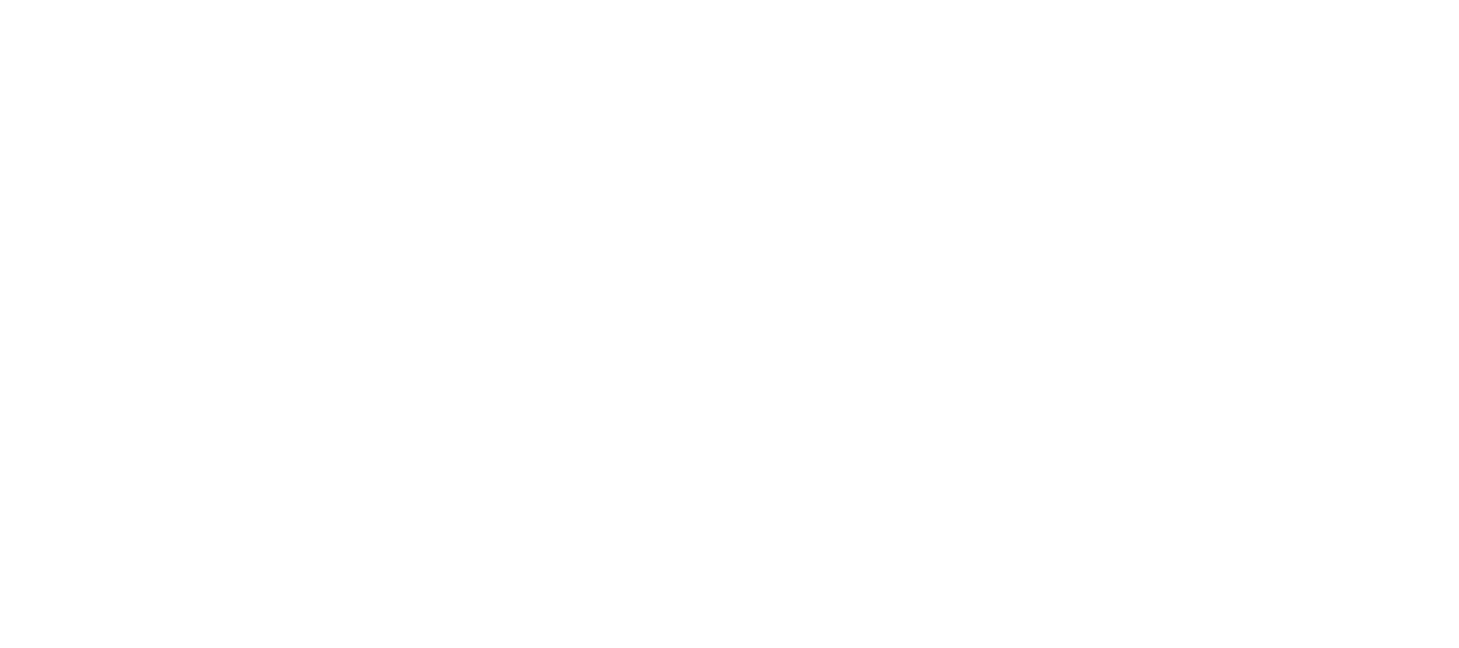 ANARCA white logo